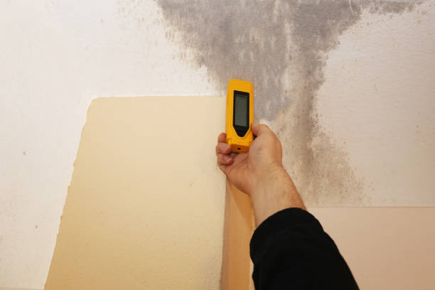Best Post-Construction Mold Inspection  in Birchwood Lakes, PA
